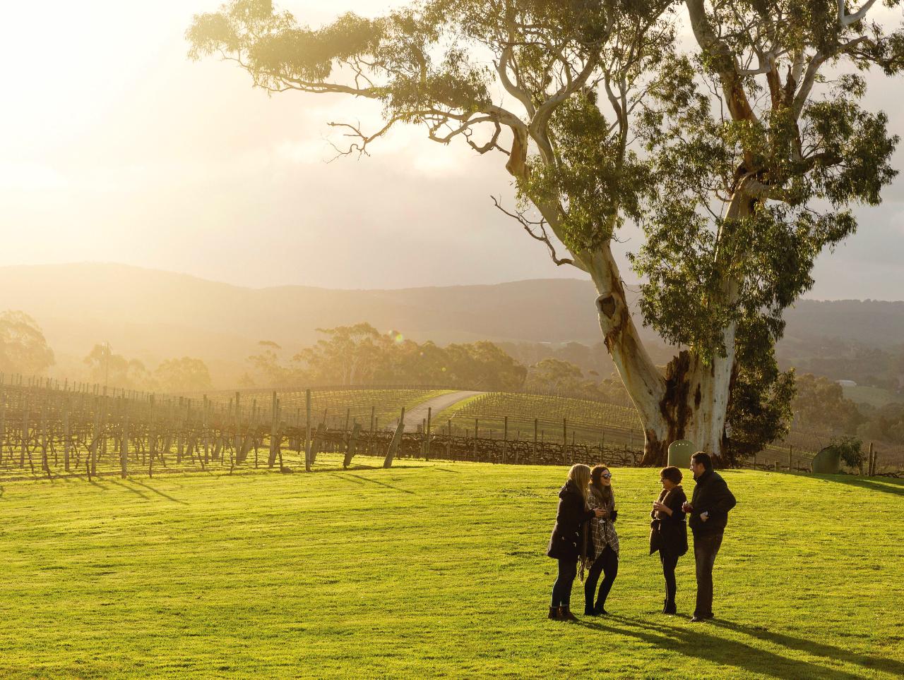 Hahndorf & Adelaide Hills Hop On Hop Off Tour - City Pick Up & Return