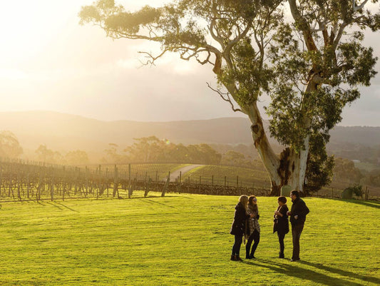 Hahndorf & Adelaide Hills Hop On Hop Off Tour - City Pick Up & Return