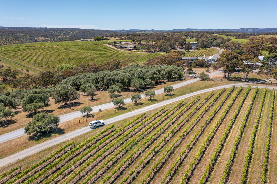 Road To Kangaroo Island