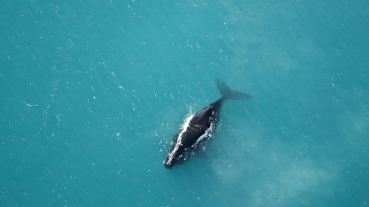 3-Day Southern Yorke Peninsula Coastal Wilderness Adventure