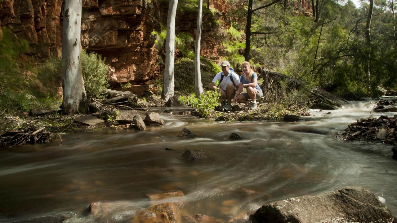 5-Day Flinders Ranges & Outback Small Group 4Wd Eco Safari
