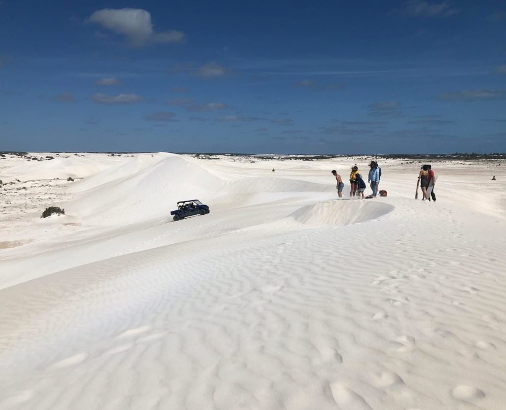 Pinnacles And Sea Lions Adventure
