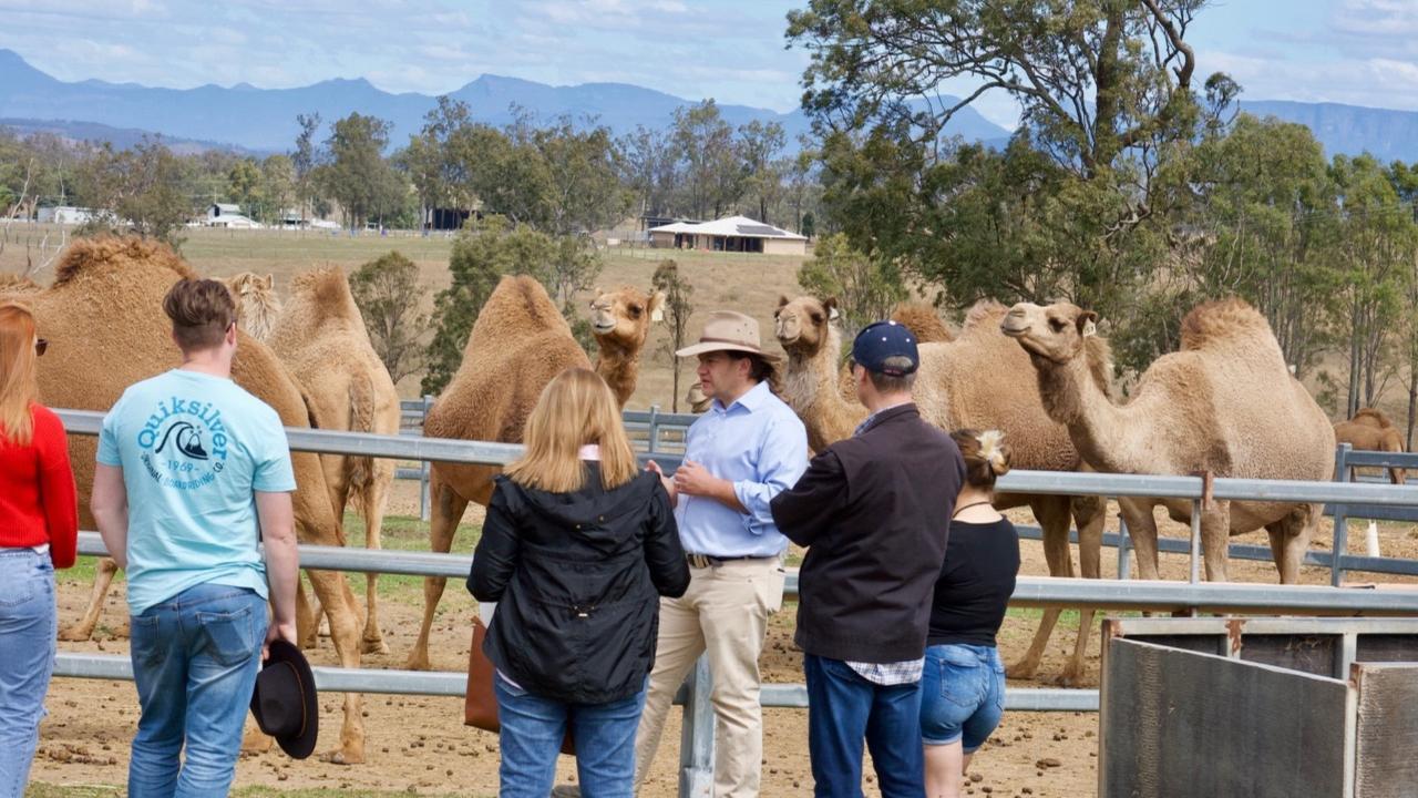 Scenic Rim Farm, Food & Wine Experience