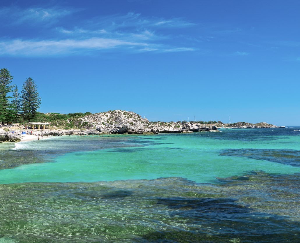 Quokkas Delight Rottnest Island Tour