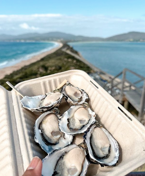2 Day Tour - Two Of Tasmania's Best