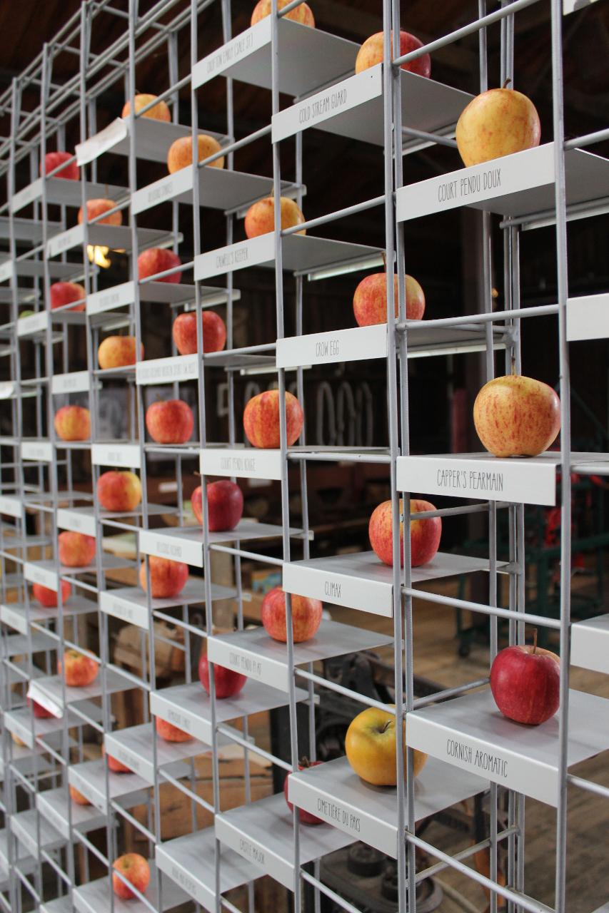 Family Farm Gate Trail Day Tour Of The Huon Valley.