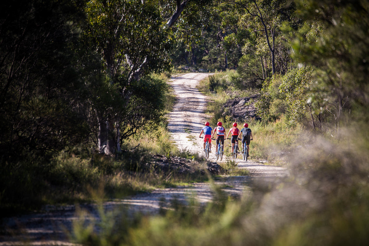 E- Bike (Electric) Guided Tour - Full Day - Private Charter - Blue Labyrinth - Glenbrook Precinct