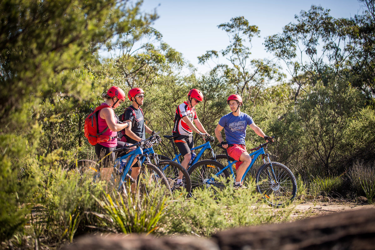 E- Bike (Electric) Guided Tour - Full Day - Private Charter - Blue Labyrinth - Glenbrook Precinct