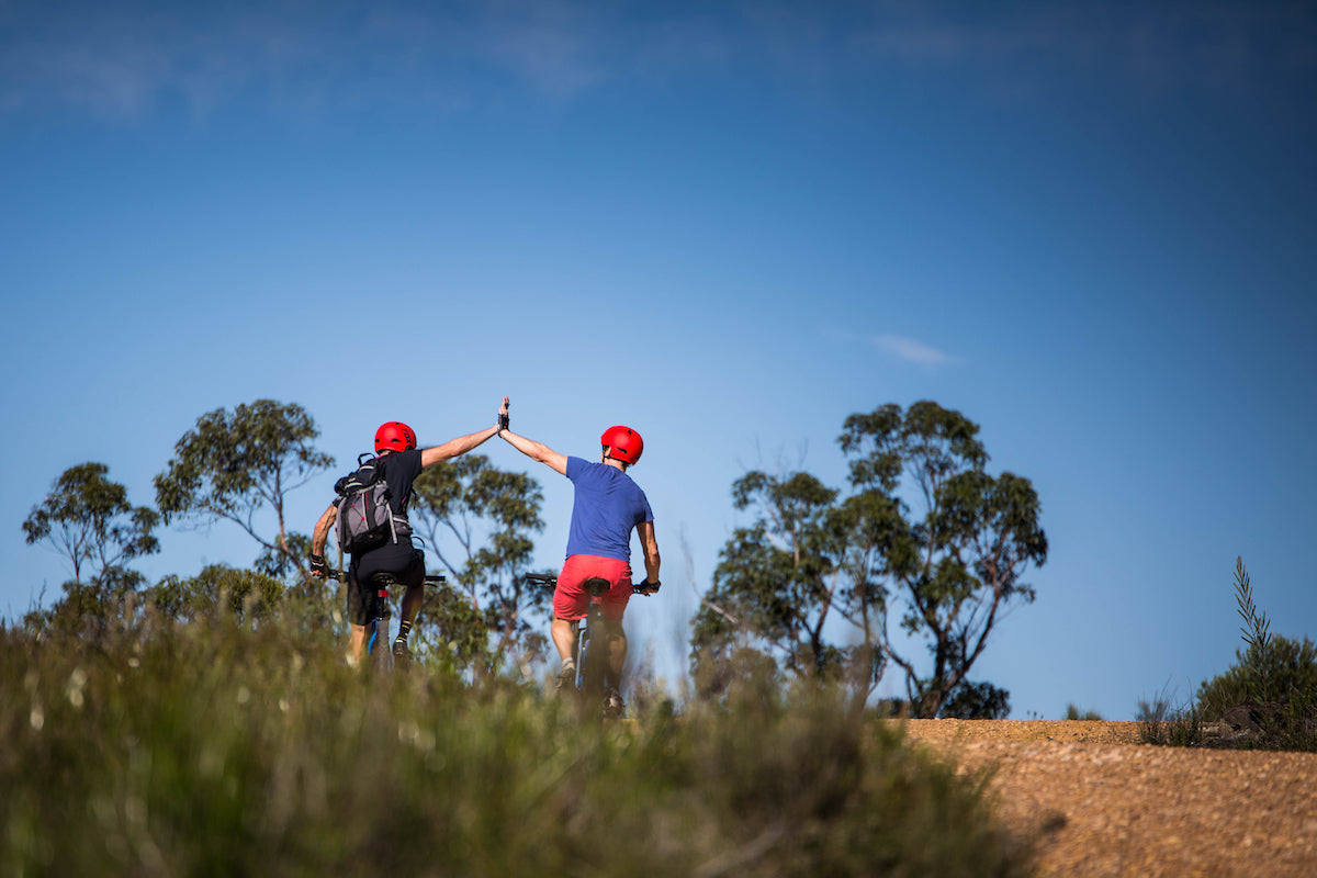 E- Bike (Electric) Guided Tour - Full Day - Private Charter - Blue Labyrinth - Glenbrook Precinct