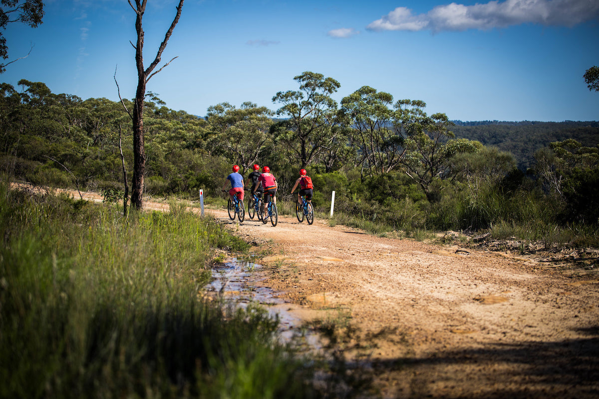 E- Bike (Electric) Guided Tour - Full Day - Private Charter - Blue Labyrinth - Glenbrook Precinct