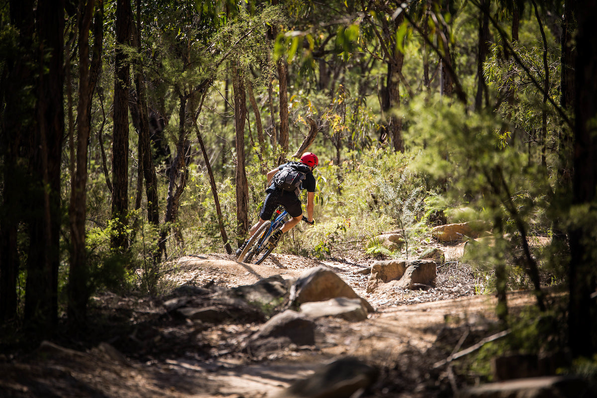 E- Bike (Electric) Guided Tour - Full Day - Private Charter - Blue Labyrinth - Glenbrook Precinct