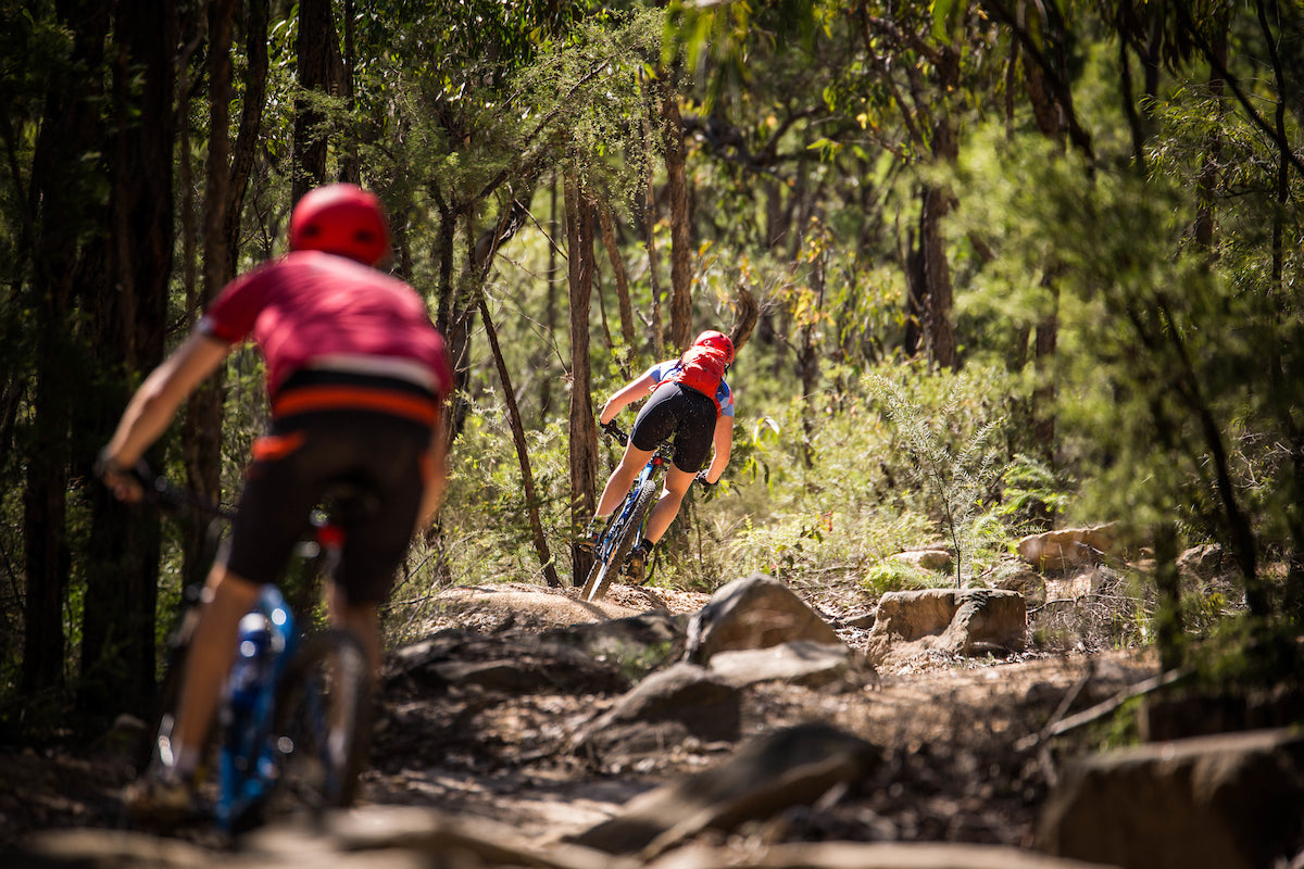 E- Bike (Electric) Guided Tour - Full Day - Private Charter - Blue Labyrinth - Glenbrook Precinct