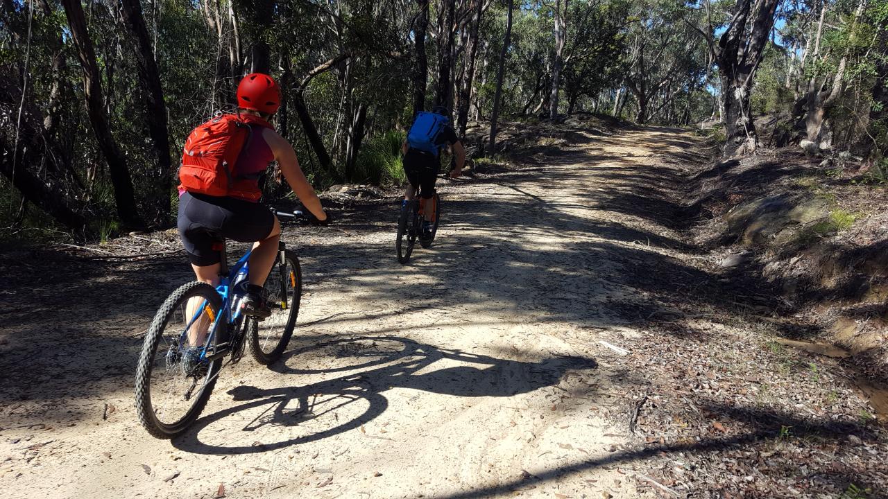 E- Bike (Electric) Guided Tour - Full Day - Private Charter - Blue Labyrinth - Glenbrook Precinct