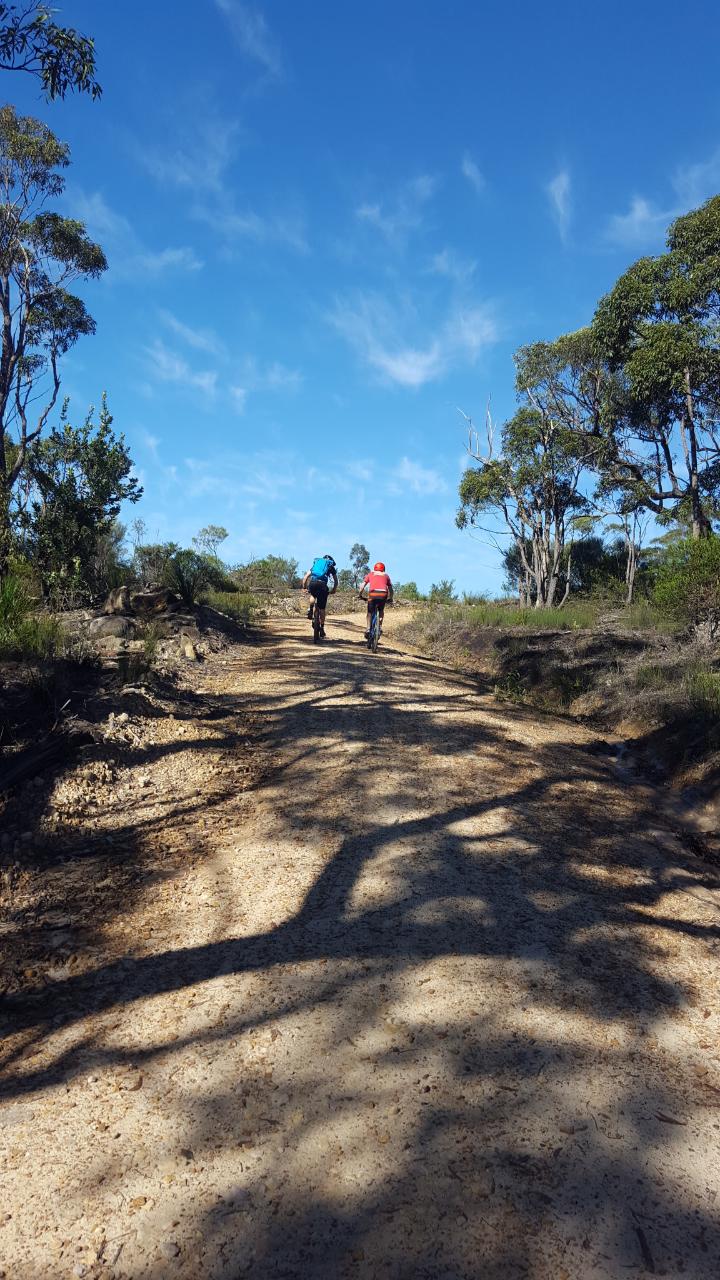 E- Bike (Electric) Guided Tour - Full Day - Private Charter - Blue Labyrinth - Glenbrook Precinct