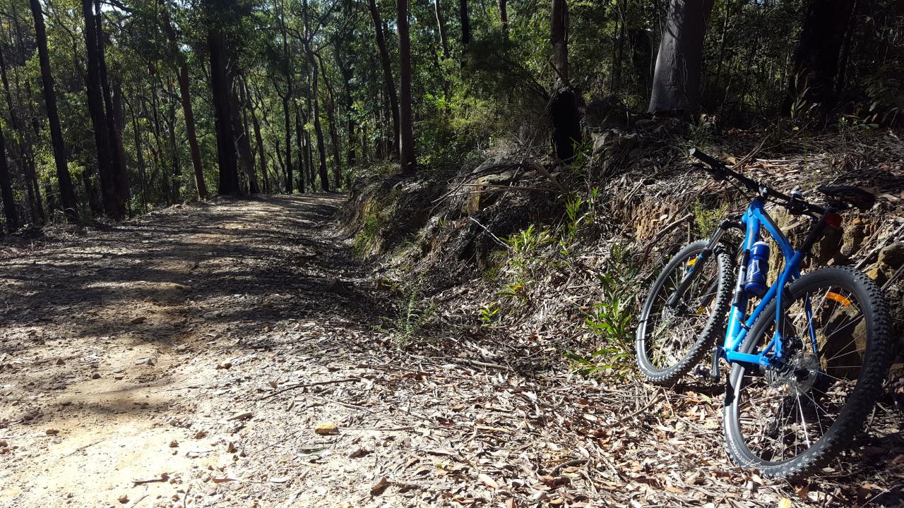 E- Bike (Electric) Guided Tour - Full Day - Private Charter - Blue Labyrinth - Glenbrook Precinct