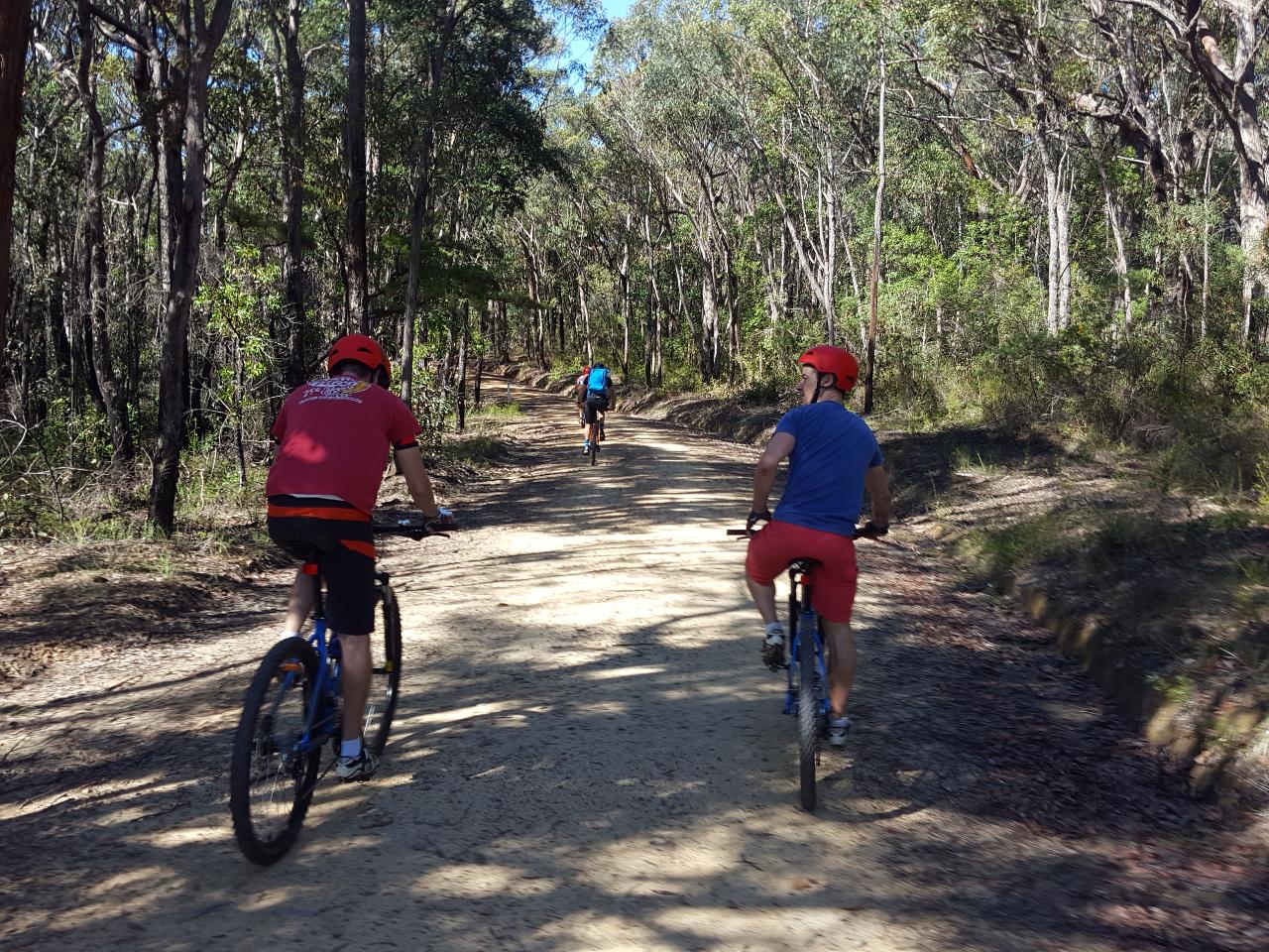 E- Bike (Electric) Guided Tour - Full Day - Private Charter - Blue Labyrinth - Glenbrook Precinct