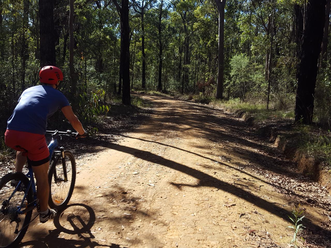 E- Bike (Electric) Guided Tour - Full Day - Private Charter - Blue Labyrinth - Glenbrook Precinct