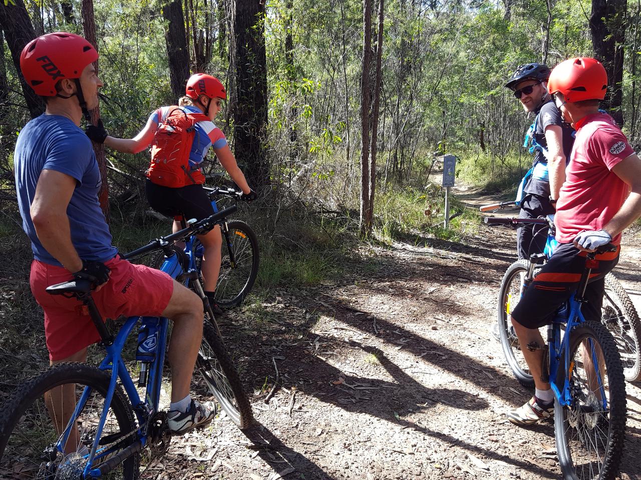 E- Bike (Electric) Guided Tour - Full Day - Private Charter - Blue Labyrinth - Glenbrook Precinct