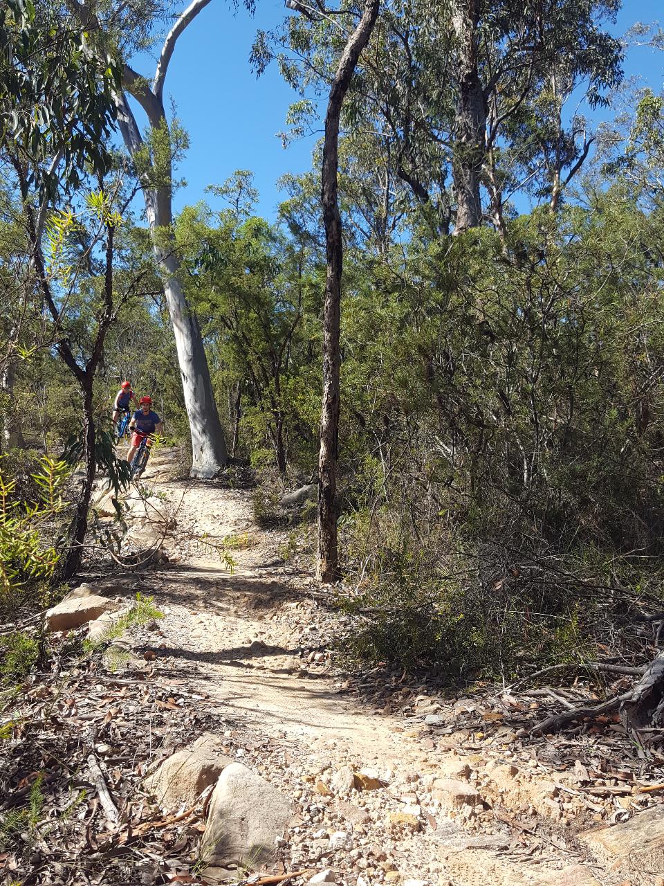 E- Bike (Electric) Guided Tour - Full Day - Private Charter - Blue Labyrinth - Glenbrook Precinct