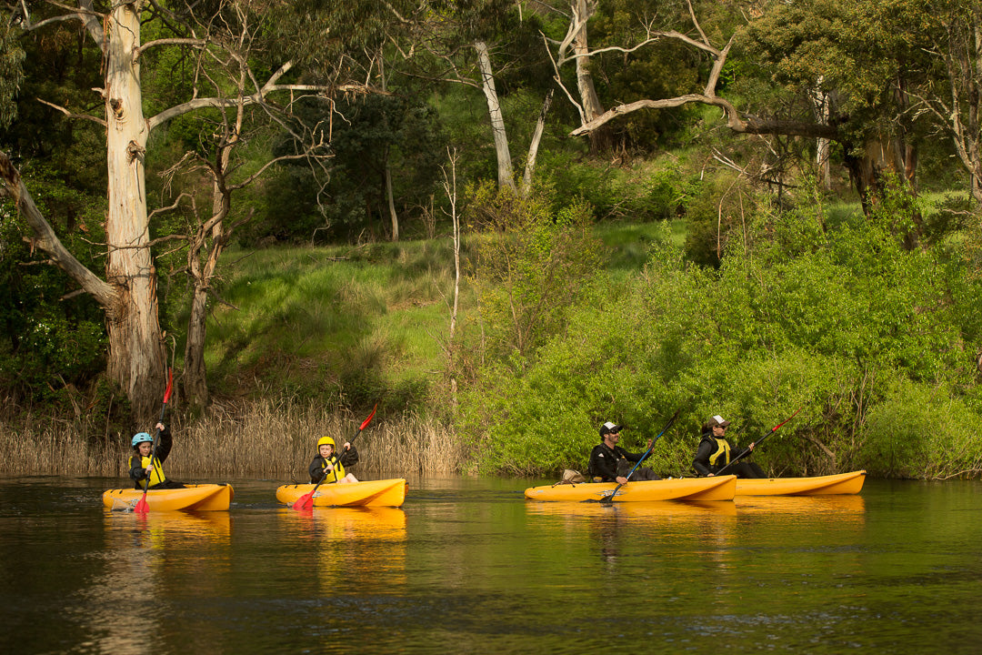 Paddle With The Platypus Adventure