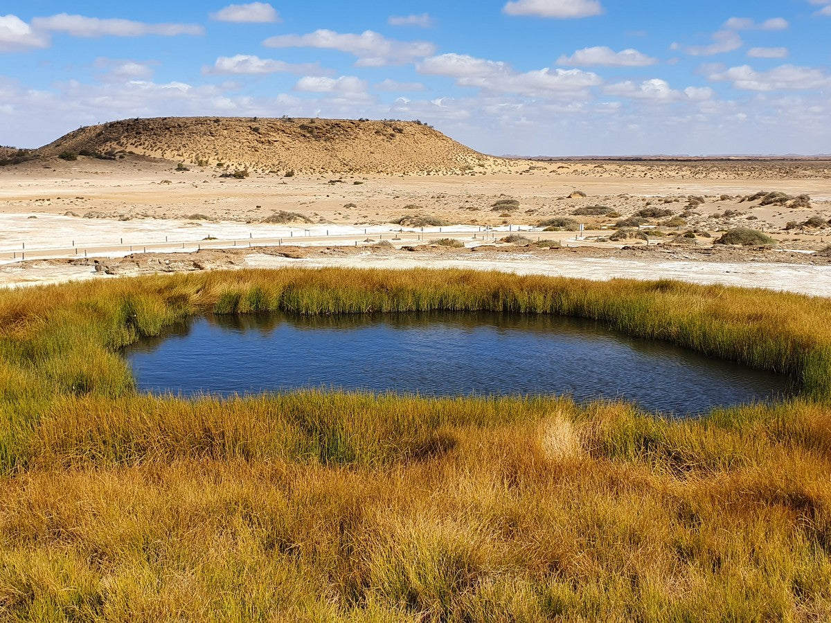 7-Day Coober Pedy, Lake Eyre & Flinders Ranges Small Group 4Wd Eco Safari