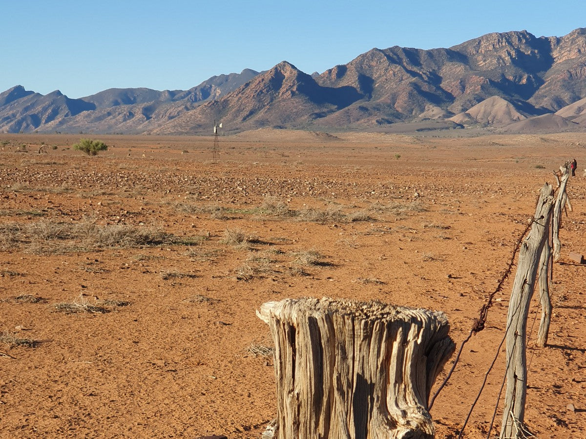 7-Day Coober Pedy, Lake Eyre & Flinders Ranges Small Group 4Wd Eco Safari