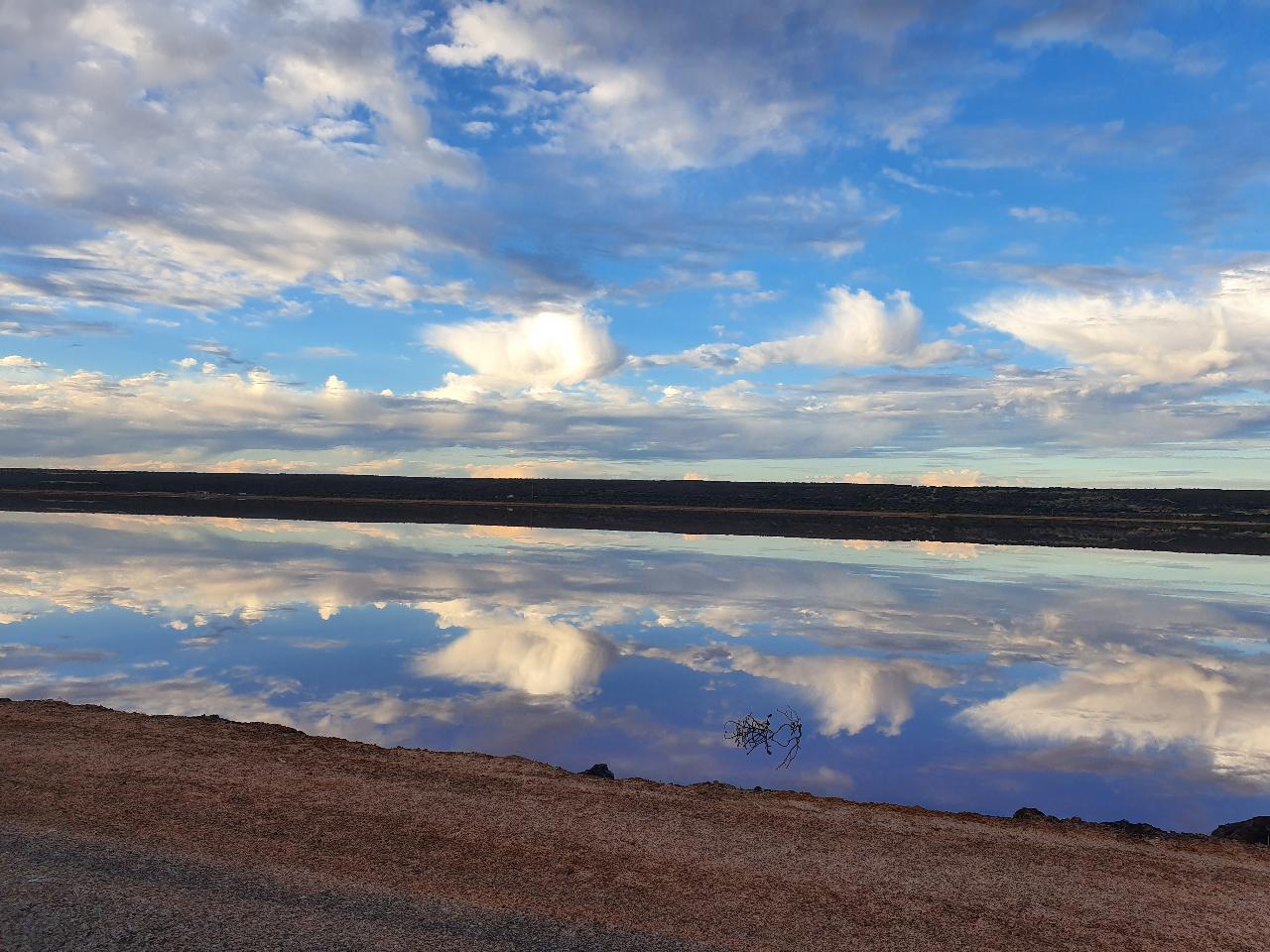 Pink Lake Buggy Tour