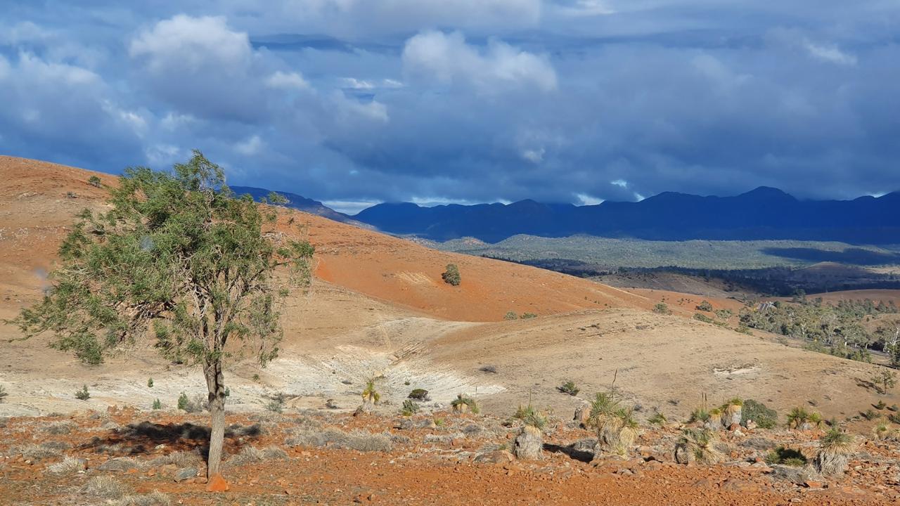 5-Day Flinders Ranges & Outback Small Group 4Wd Eco Safari
