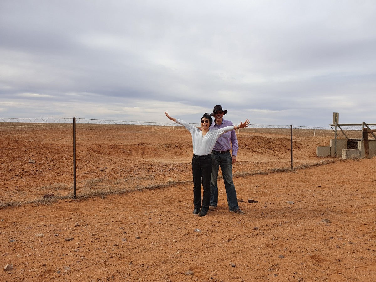 7-Day Coober Pedy, Lake Eyre & Flinders Ranges Small Group 4Wd Eco Safari