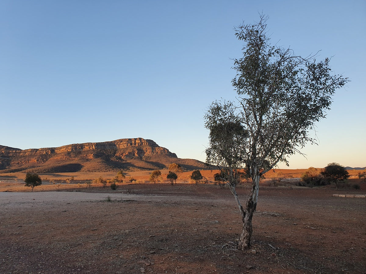 4-Day Lake Eyre & Flinders Ranges Small Group 4Wd Eco Safari