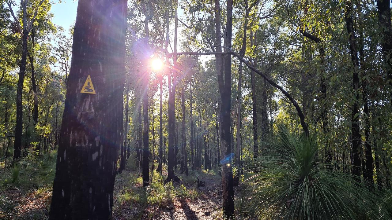 Manns Gully Meditation Hike