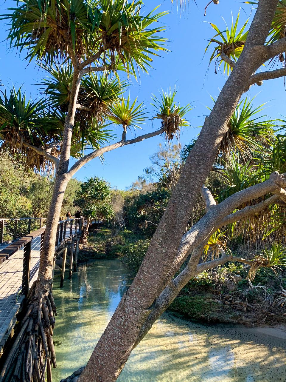 Fraser Island Beach House Tag-Along 4Wd Tour 2-Day