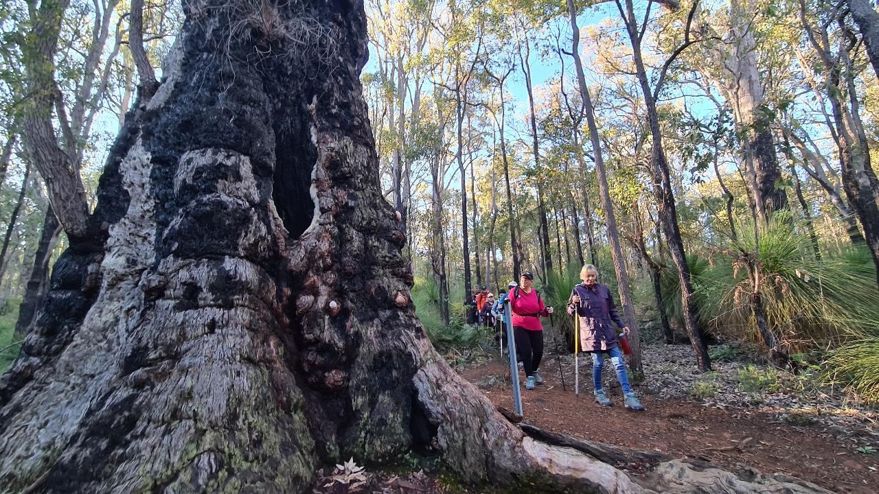 Kitty's Gorge Hiking Experience