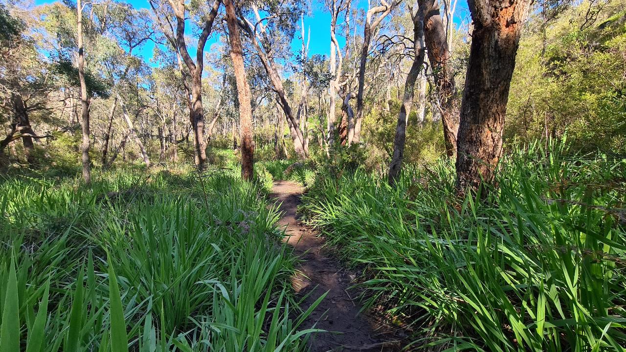 Kitty's Gorge Hiking Experience