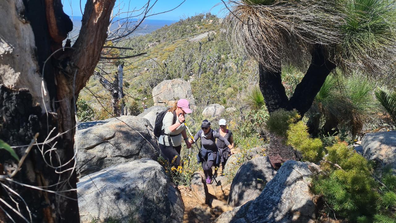 Mt Cooke Hiking Experience