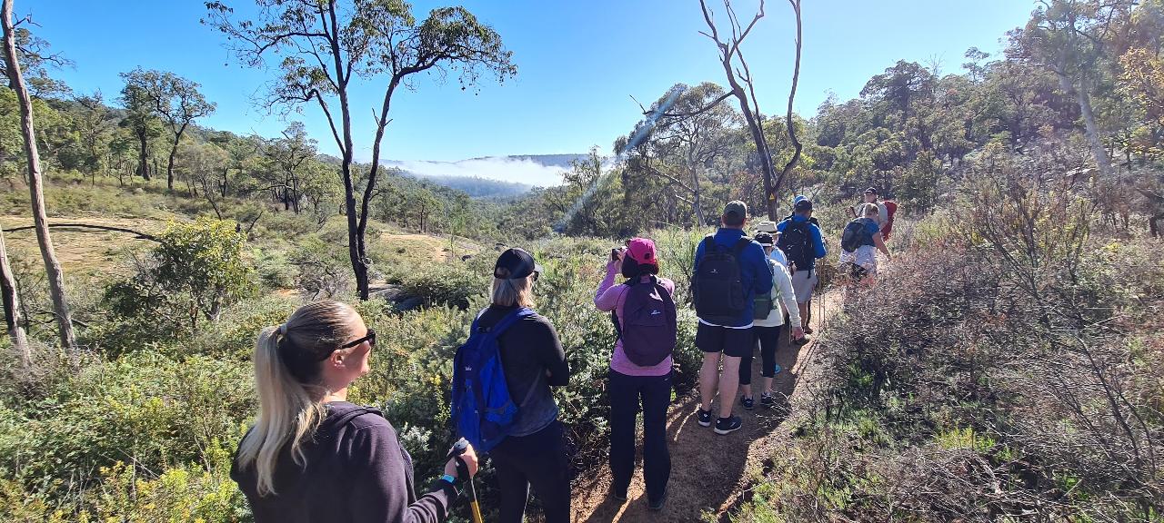 Perth Hills Hike, Wine & Dine Experience
