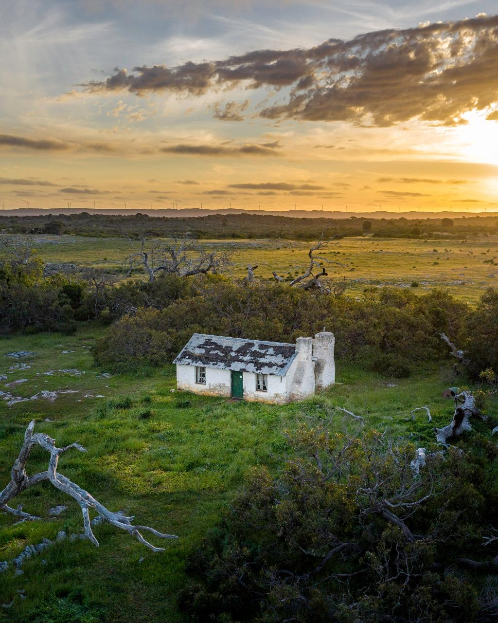 4Wd & Wildlife Adventure - Half Day