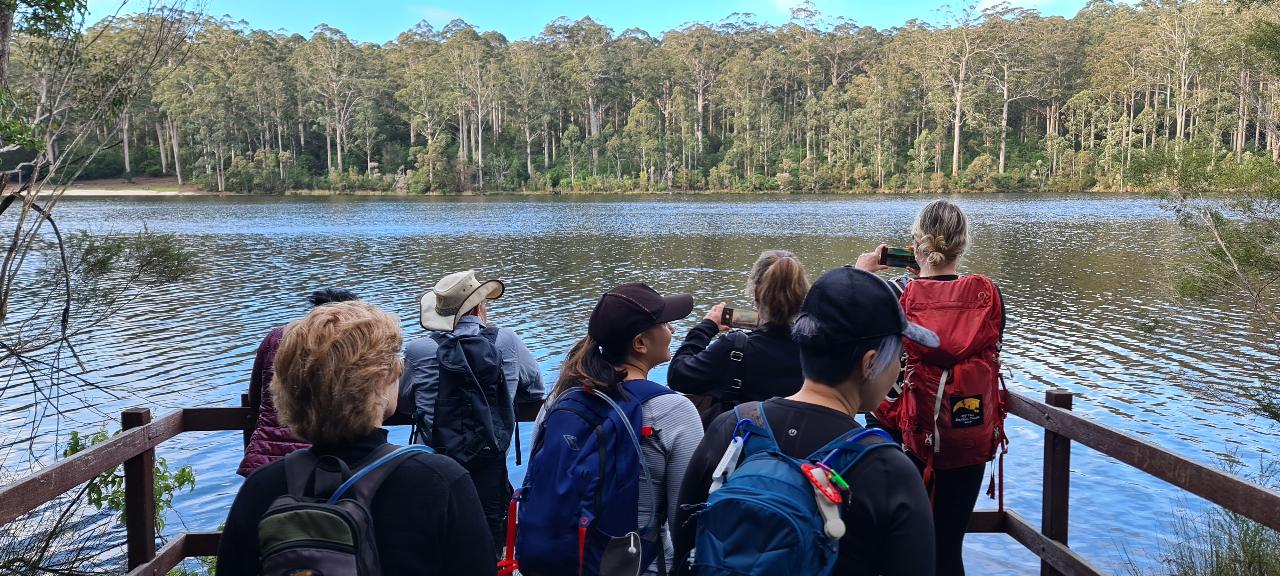 Southern Forests Weekender Experience