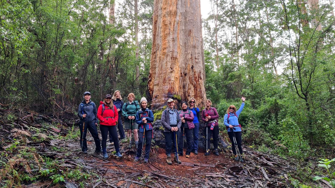 Southern Forests Weekender Experience