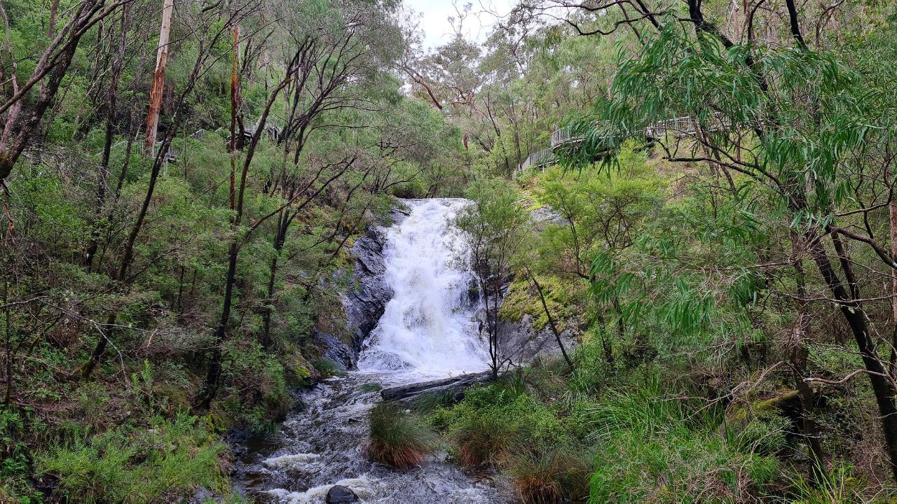 Southern Forests Weekender Experience