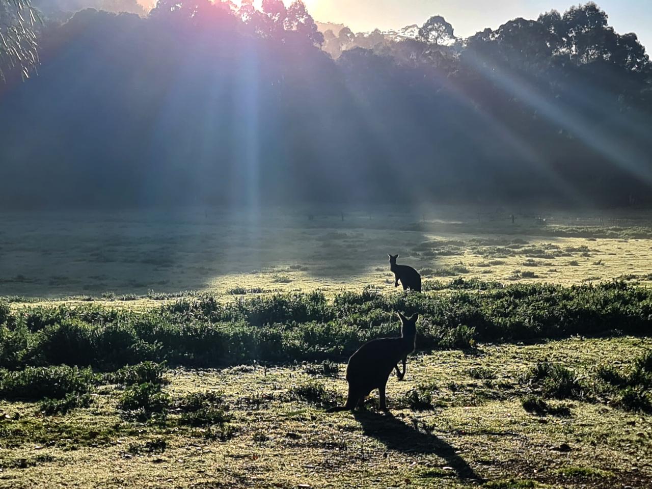 Southern Forests Weekender Experience