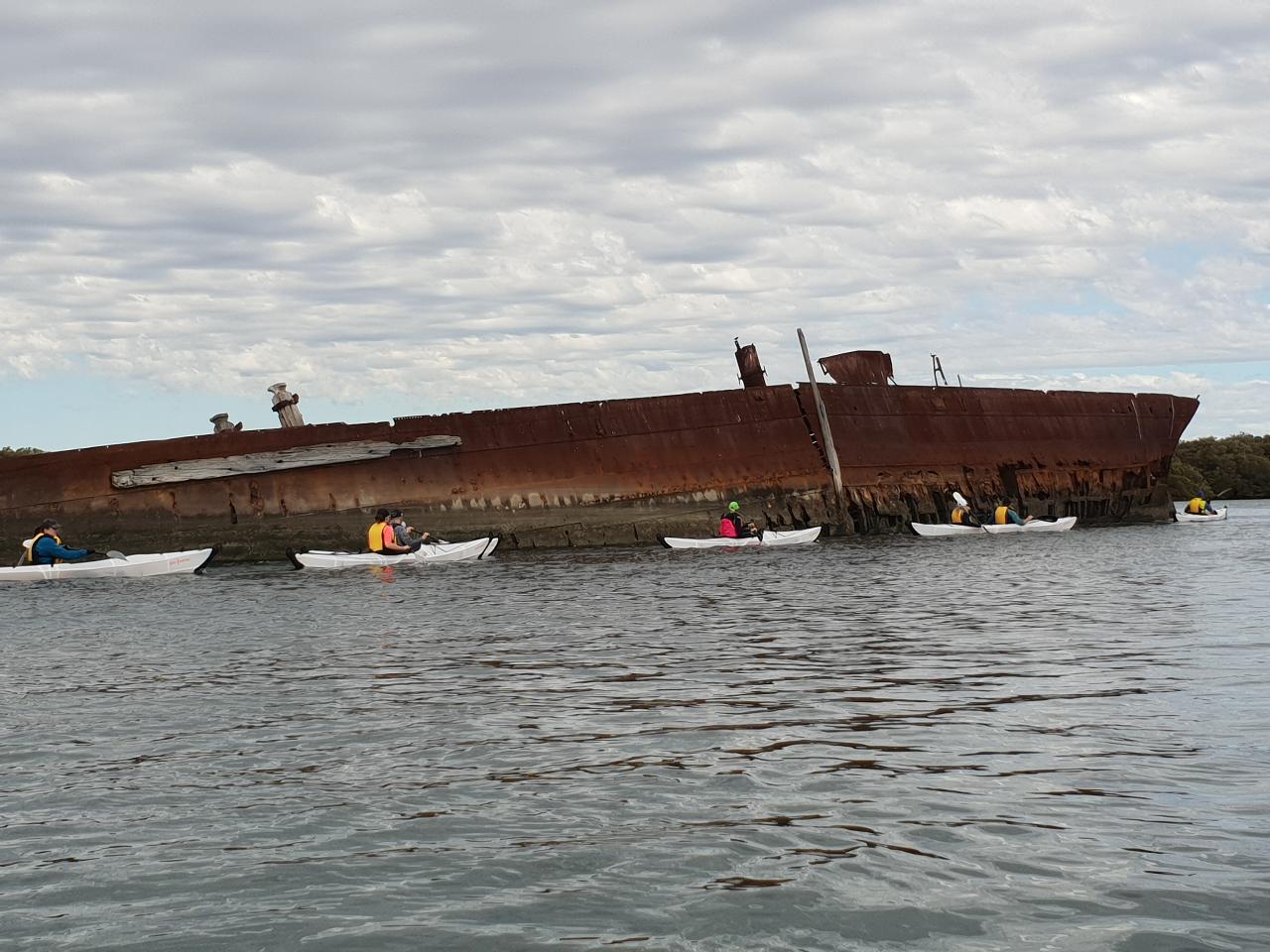 Adelaide Dolphin Sanctuary And Ships Graveyard Tour