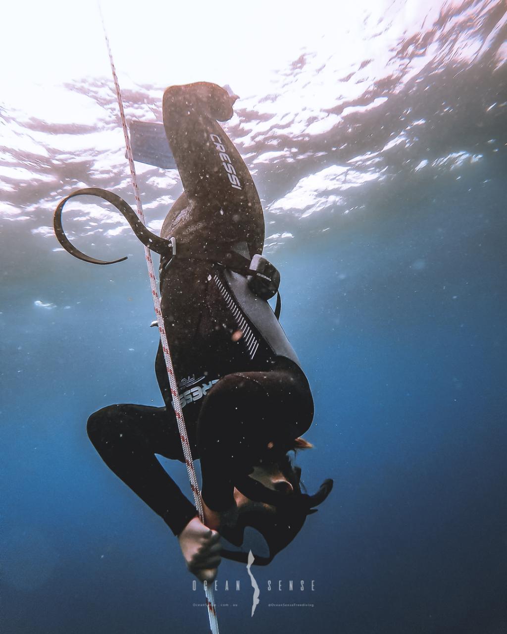 Level 2 Freediving Course - Gold Coast - 3 - 4 Day