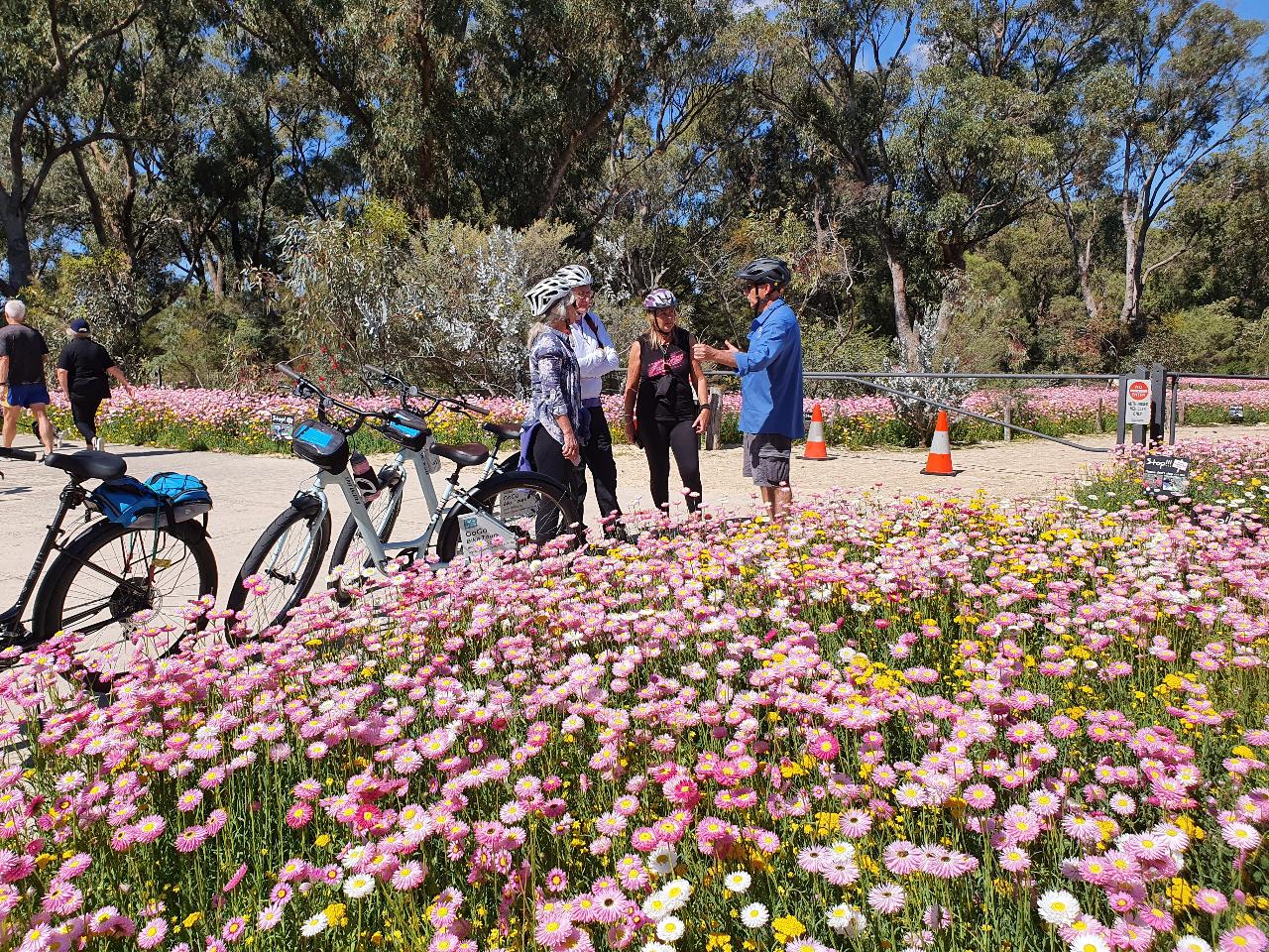 Pedals & Petals - Discovering Wildflowers Bike Tour Kings Park