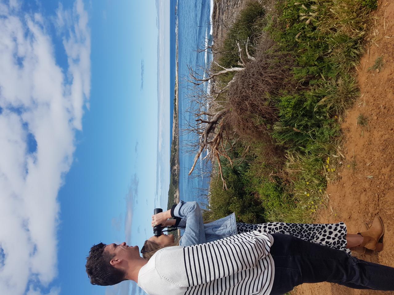 Full Day Wine & All About It Tour: Scones, Chocolate, Wineries, Lunch & More!