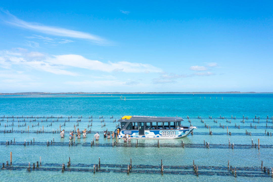 Coffin Bay Oyster Farm & Bay Tour - 12 Oysters - Including Wading Experience