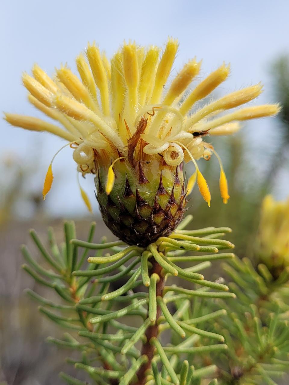 Southern Wheatbelt Wander Two Nights & Three Days