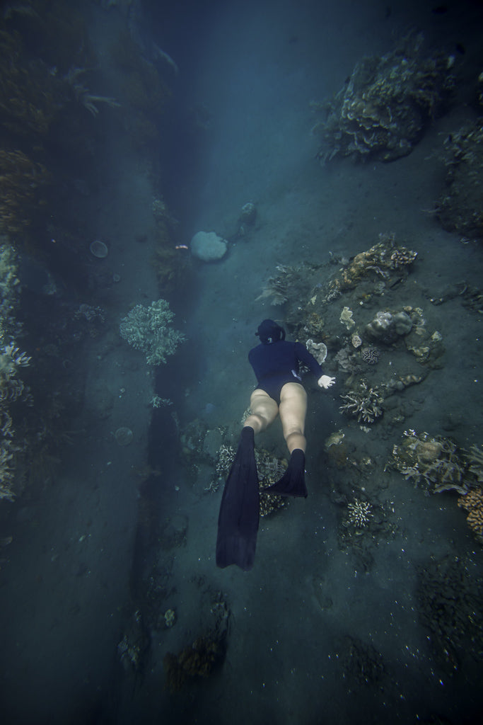 Level 2 Freediving Course - Gold Coast - 3 - 4 Day