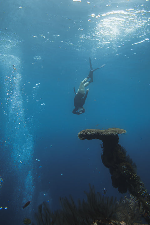 Level 2 Freediving Course - Gold Coast - 3 - 4 Day