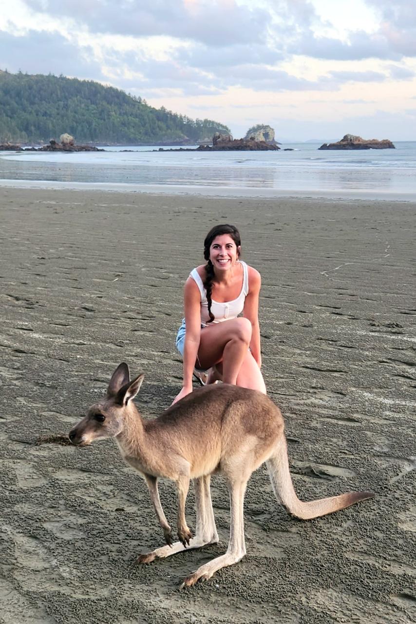 Sunrise With Kangaroos-Departs Airlie Beach